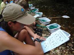 Modelamiento Ambiental - AMB-021