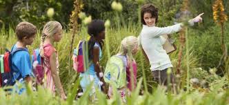 Educación Ambiental para la Sostenibilidad - AMB-023