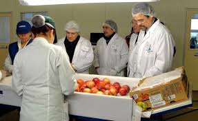 Gestión De Calidad E Inocuidad Alimentaria Iso 22000:2018 - CAL-005