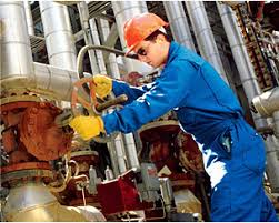 Seguridad Y Salud En La Industria - SSO-008